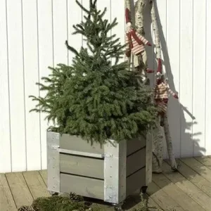 Betrouwbaar Plantenbak vuren geimpregneerd - Cubic grijsbruin 46 x 50 x 45 cm