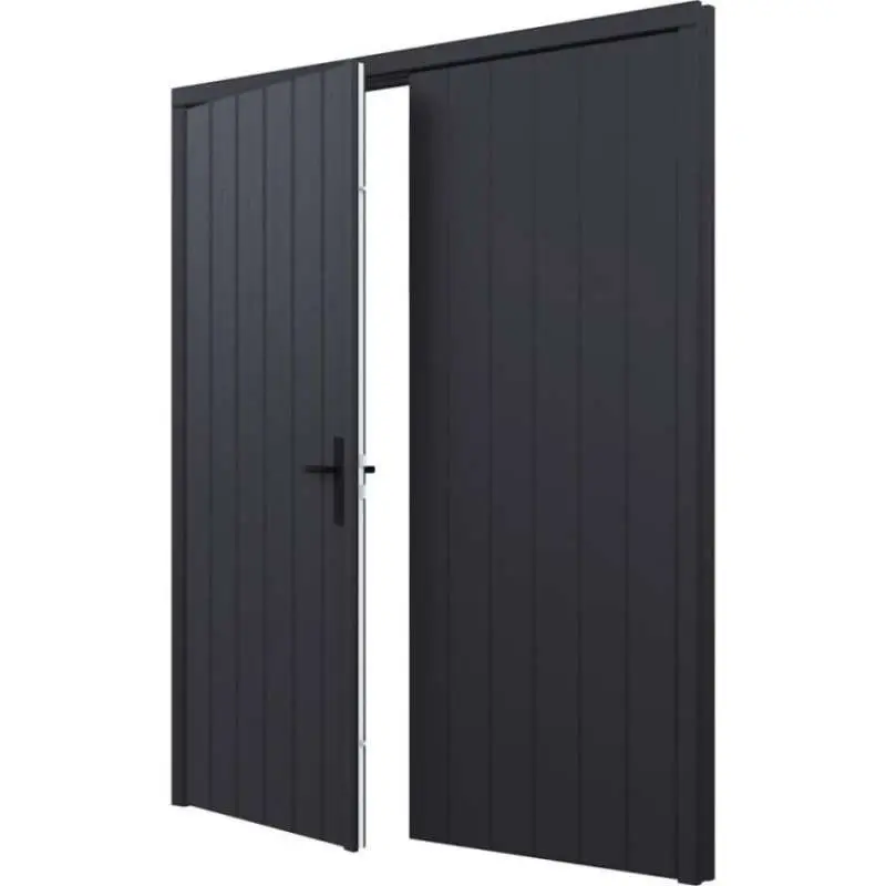 Dubbele plaatdeur met kozijn - zwart - 930 x 2115 mm incl. beslag Flitsaanbieding