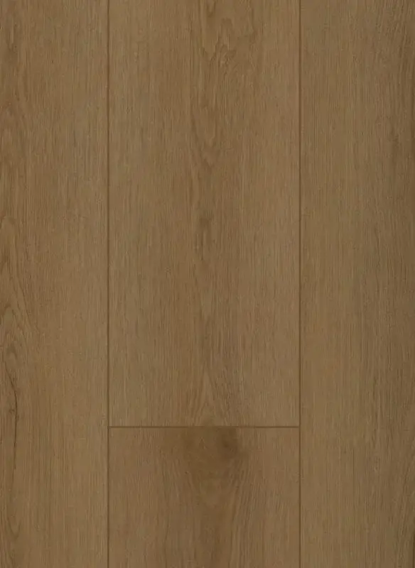Shop Nu Gelasta Firmfit Silent Rigid Click Sierra Brown 7503