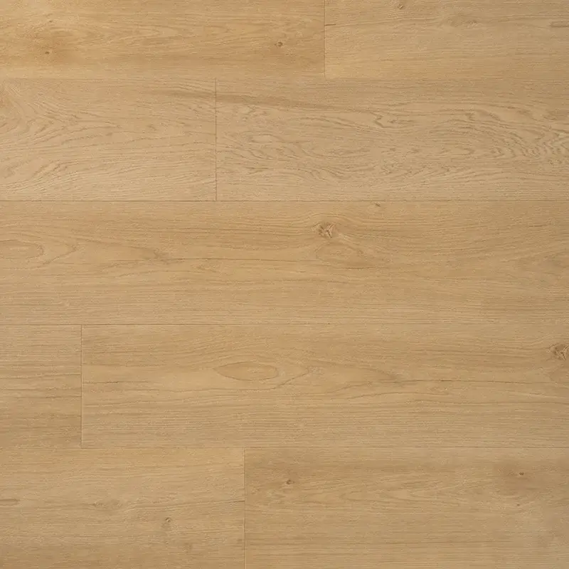 DD PVC dryback Riante plank boterkoek Beste Prijs