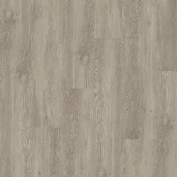 LVT Homeline 55 5506 Eiche gekalkt 22,86×121,92 3,34m² Populair