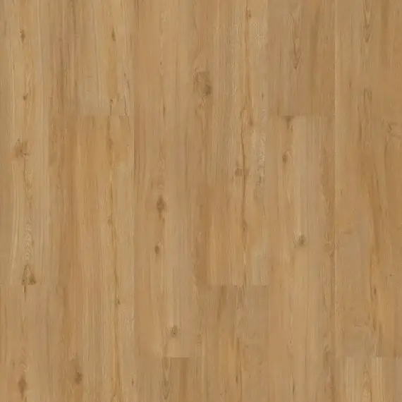 Tijdelijk Beschikbaar LVT Homeline 30 3019 Feldeiche Natur 22,86×121,92 3,34m²