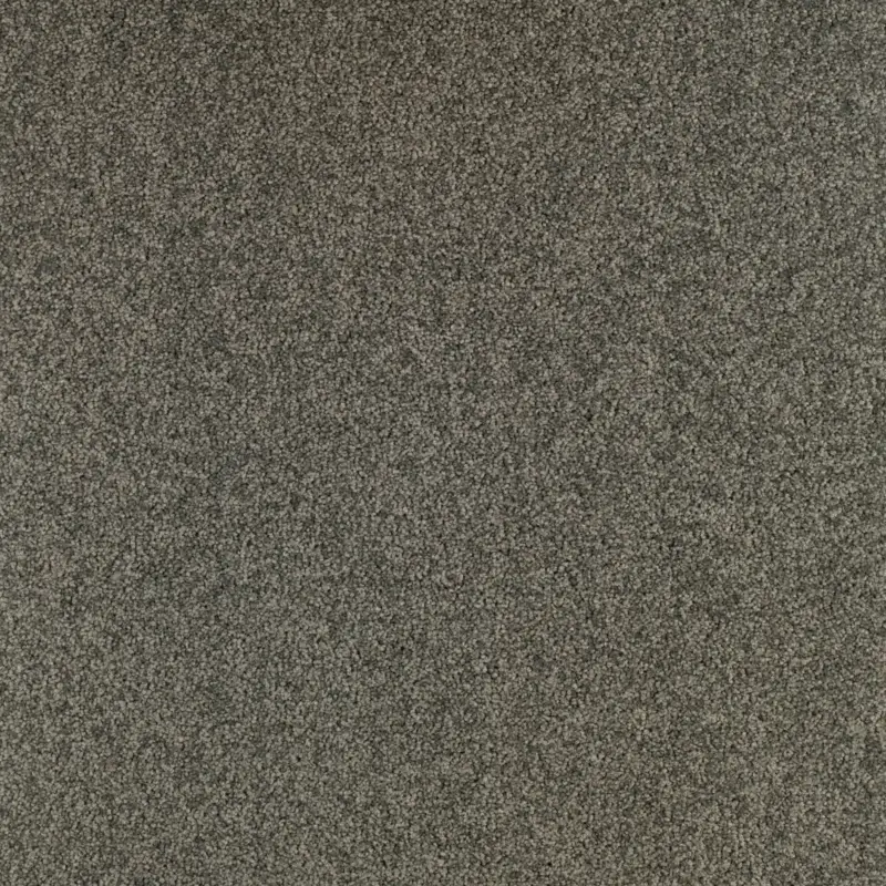 Alleen Vandaag Arriva 027 Tapijt Gloria 400cm kleur 960 x 400