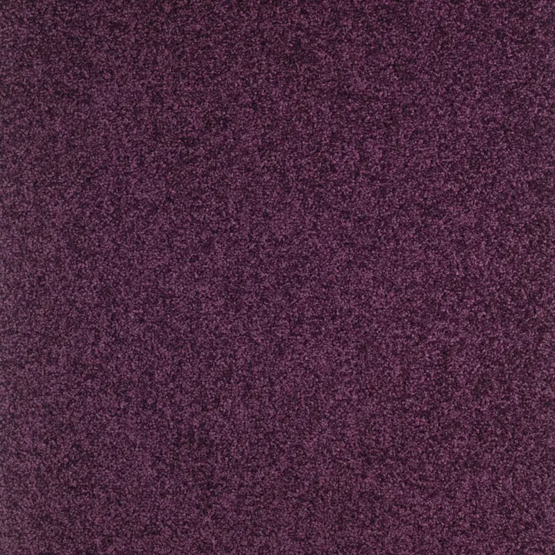 Arriva 027 Tapijt Gloria 400cm kleur 890 x 400 Koop Vandaag