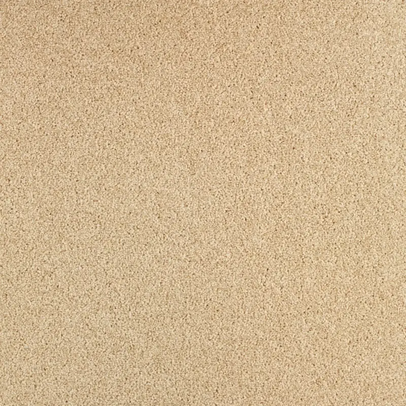 Arriva 027 Tapijt Gloria 400cm kleur 620 x 400 Koop Online
