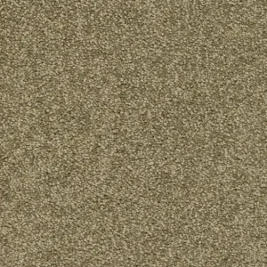 Aanbieding Trend 026 Tapijt ALAMO 400 cm kleur 24 x 400,0