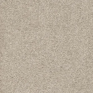 Aanbieding Trend 026 Tapijt ALAMO 400 cm kleur 05 x 400,0