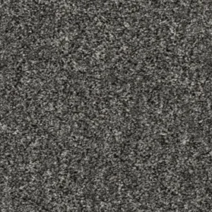Alleen Vandaag Homeline 27 Tapijt Pilar 400cm kleur 75