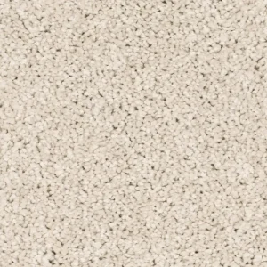 Alleen Vandaag Homeline 27 Tapijt Heres 500 cm kleur 69