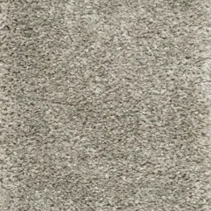 Alleen Vandaag Trend 026 Tapijt RIGOLETTO 500cm kleur 93 x 500,0
