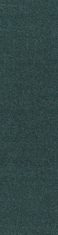 Voordeelprijs Arriva 027 Tapijt Sera PL 25x100cm kleur 370 pak 4,00 m²