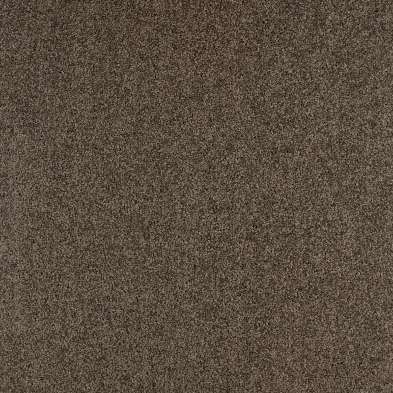 Arriva 027 Tapijt Gloria Tegel 50x50cm kleur 770 pak 4,00 m² Weekendaanbieding