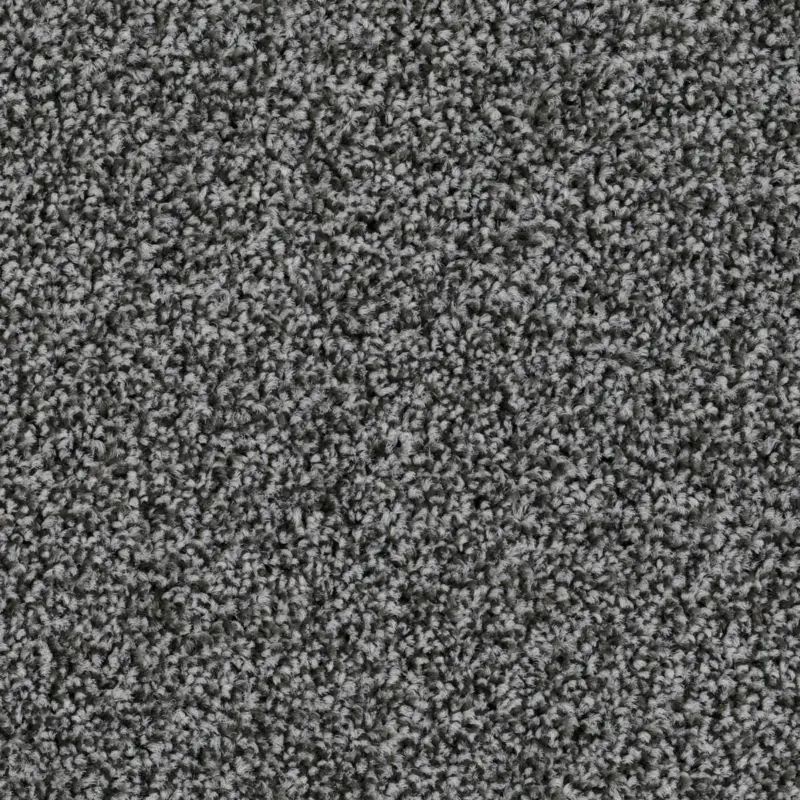 Alleen Vandaag Format Modul 25 Tapijt Level kleur 76 50x50cm Pak 5m²