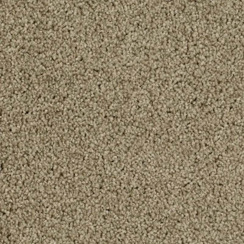 Format Modul 25 Tapijt Level kleur 71 50x50cm Pak 5m² Uitverkoop