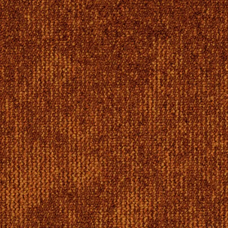 Laatste Versie Format Modul 25 Tapijt Leo kleur 273 50x50cm Pak 5m²