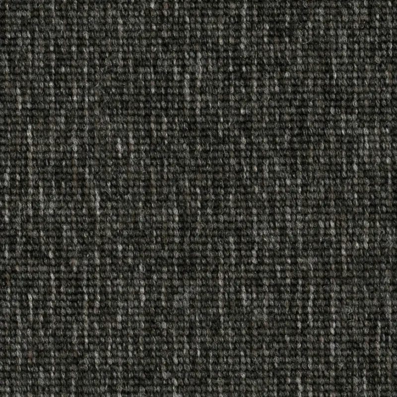 Favoriet Format Modul 25 Tapijt ZEBRAS kleur 989 50x50cm Pak 5m²