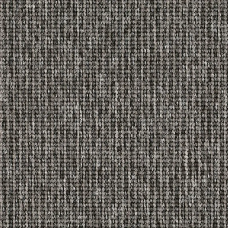 Beperkt Aanbod Format Modul 25 Tapijt ZEBRAS kleur 907 50x50cm Pak 5m²
