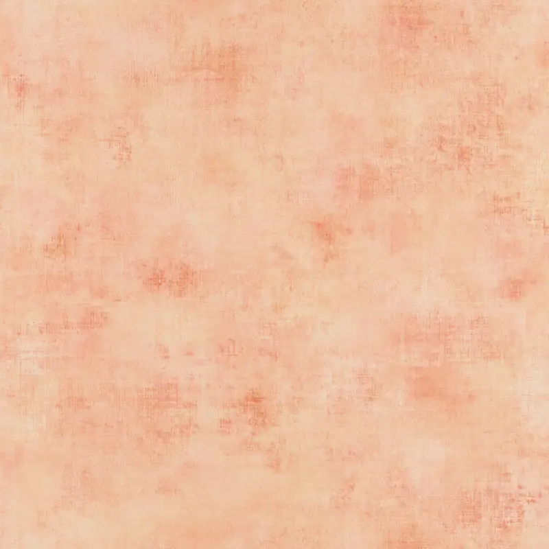 Goedkoop Behang 20754 Color III 2025 10,05 x 0,53 mtr
