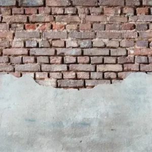 Behang EBD601 Murals II 2025 Digitaaldruk 2,80 mtr x 1,59 mtr Seizoensaanbieding