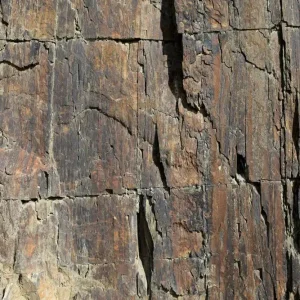 Exclusieve Aanbieding JOKA Fotobehang P119 400 cm br x 267 cm hg 130 grams vlies mat