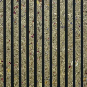 JOKA PARO Akustik PAO3011 Alpenweide 2790x600mm zwart vlies Pak 3,35m² Laatste Versie