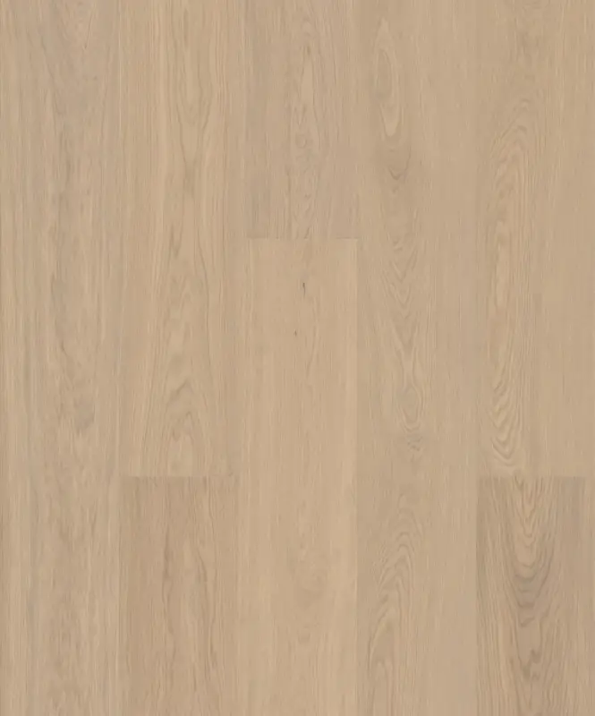 JOKA ATIVO 500 XXL X3 AE165 Oak Balmy White 4V Mat Lak 2200x283x11mm Pak 2,49m² Nu Kopen