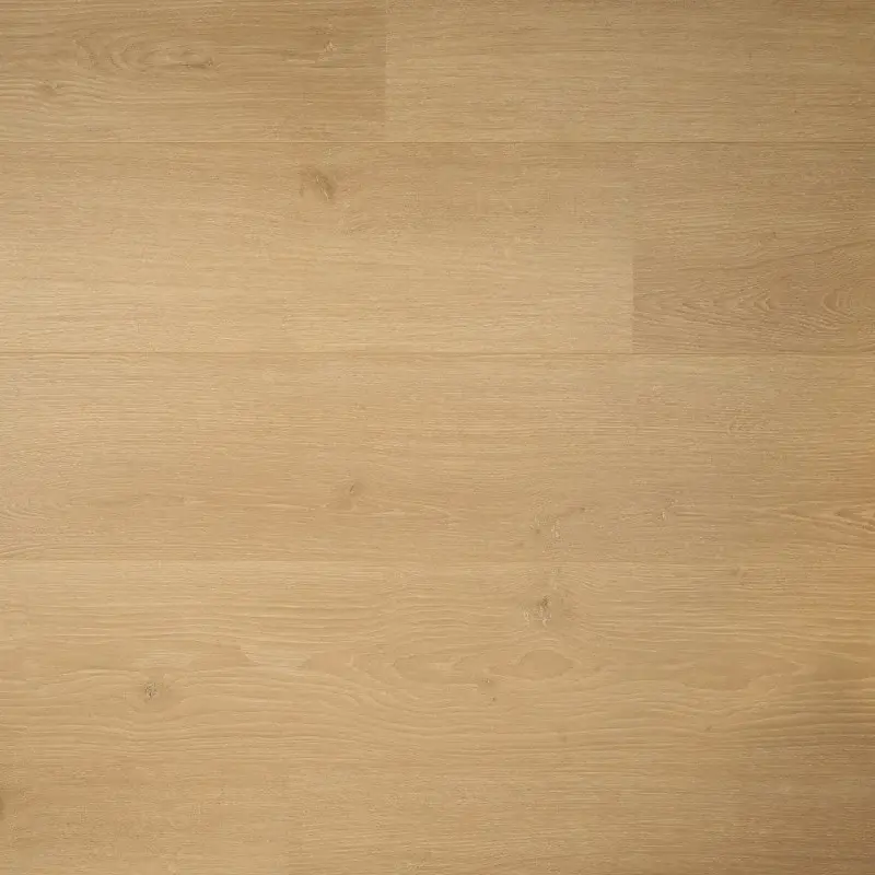 DD Brede plank Kamille – 24,3 cm, 2V Nieuw
