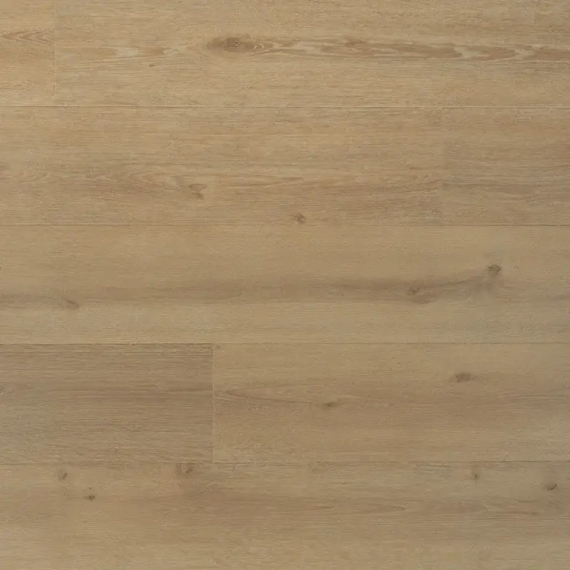 Gereduceerde Prijs DD solide plank laurier – 19,2 cm, PB 4V