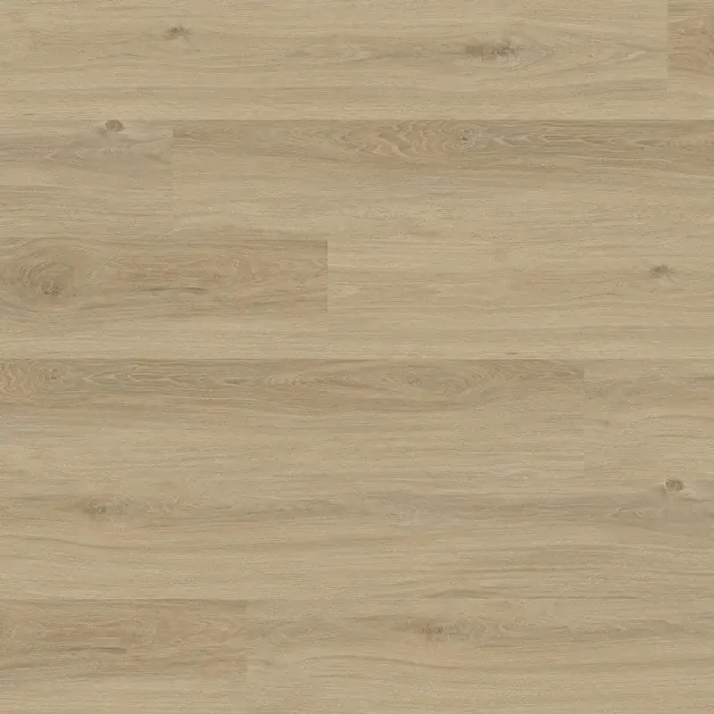 Nieuw Aspecta RC55 Almond XL Plank